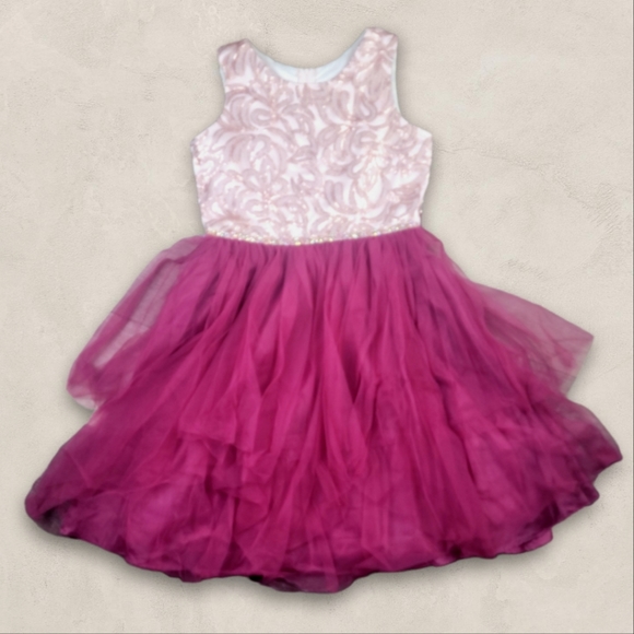 Rare Editions Other - Preowned Rare Editions Pink/burgundy Embroidered Rhinestone Tulle Dress Girls 16